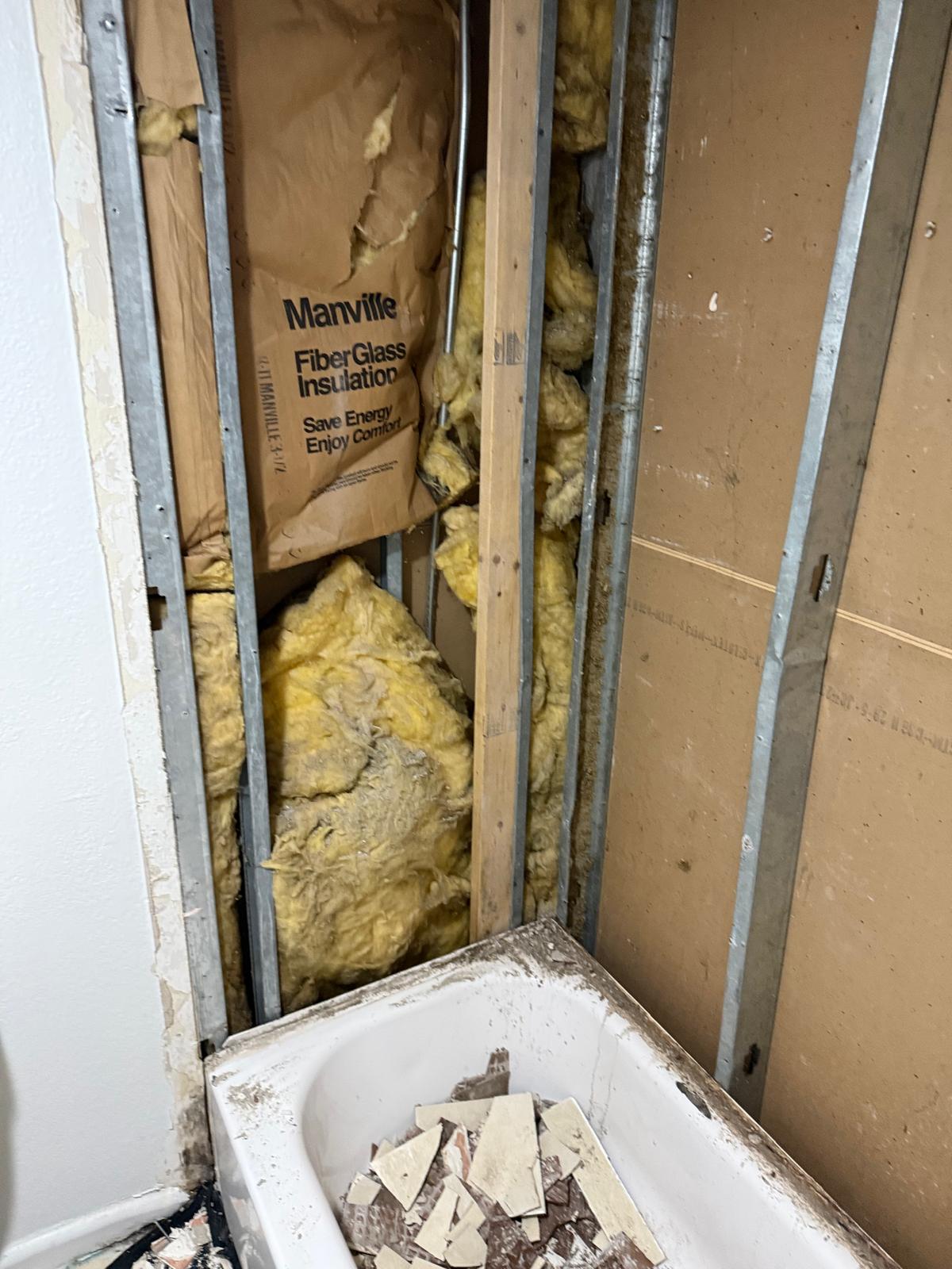 Insulation and plumbing inside wall