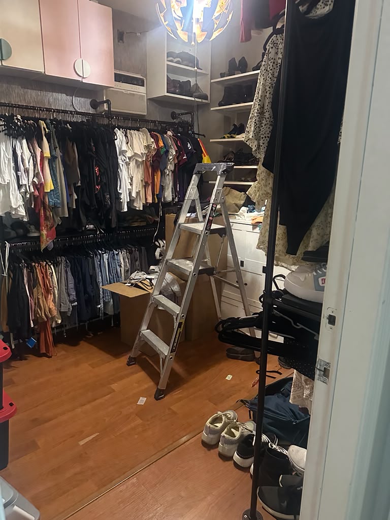 Closet before cleaning